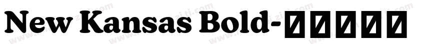 New Kansas Bold字体转换